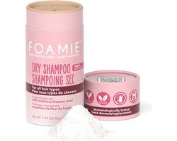 Foamie Dry Shampoo Berry Fresh For all Hair Types
