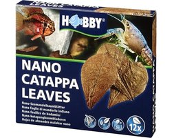 Hobby Nano catappa bladeren | 12 stuks | normaal of groot formaat Normaal
