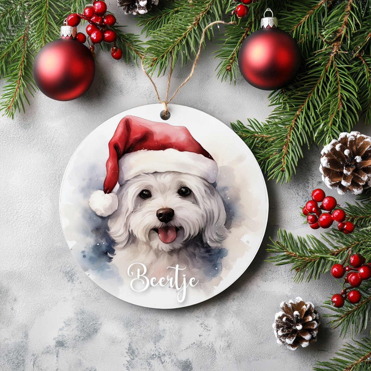 Kerstboom hanger Bichon Frise met naam