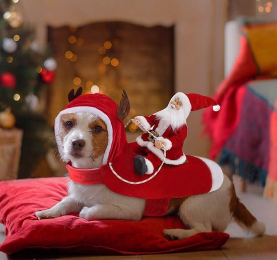 Huisdier Kerstmuts Rood Fleece Kerstman Muts Hond Kat Verkleedkostuum kopen vanaf een prijs van 5.2