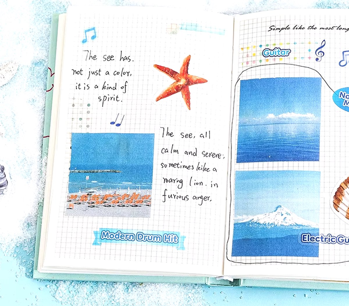 46 Stickers Schelpen - Mooie Schelpen En Schelpjes, Allerlei Vormen En Kleuren- F064 - Stickerdoosje - Voor Scrapbook Of Bullet Journal - Agenda Stickers - Decoratie Stickers — afbeelding 4