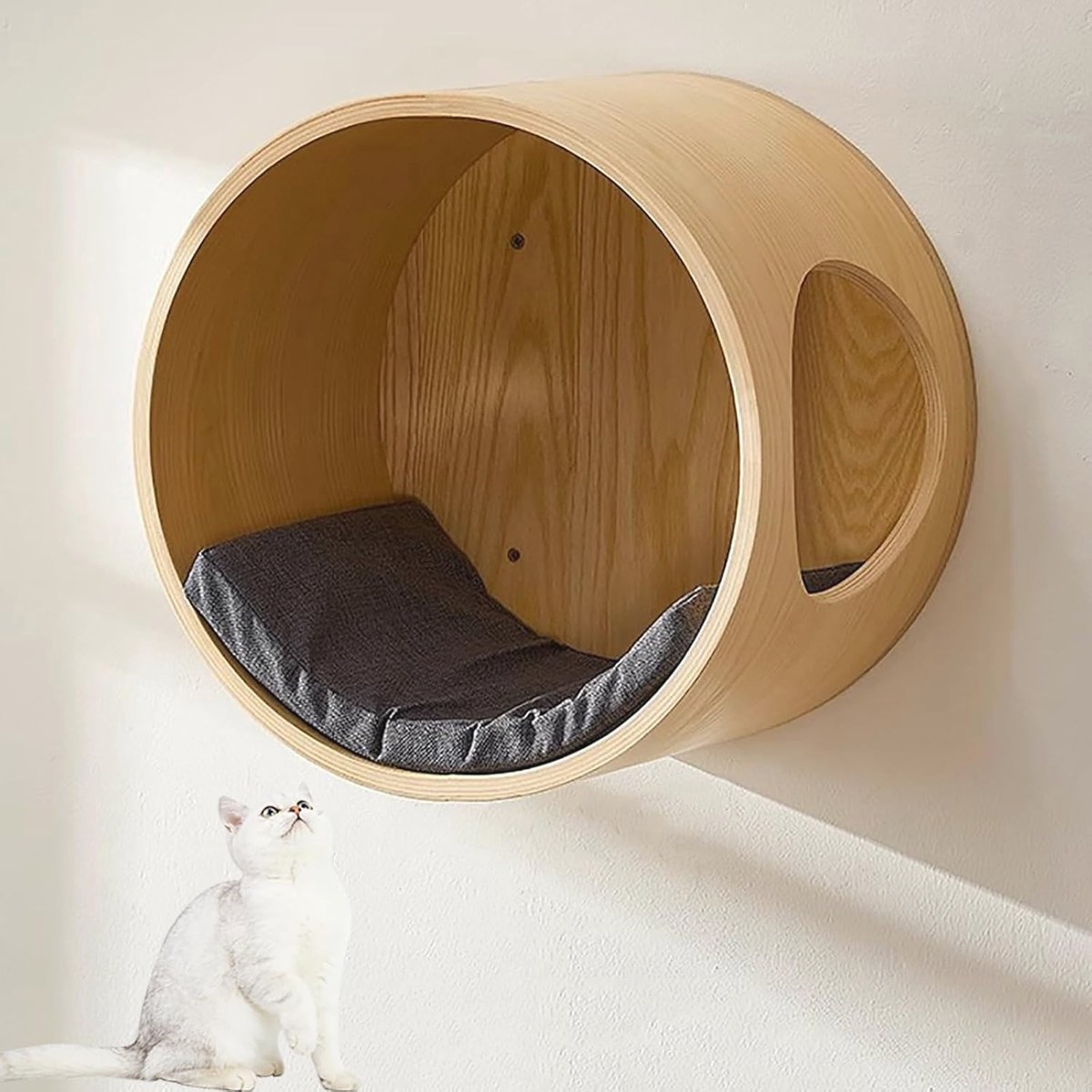 Ronde Kattenmuurbed voor Wandmontage - Wandplanken voor Katten met Comfortabele Zitplaats