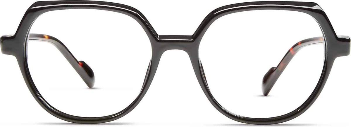 Nordic Projekt Avesta Leesbril +1.50 Zwart met tortoise poot - groot modern montuur