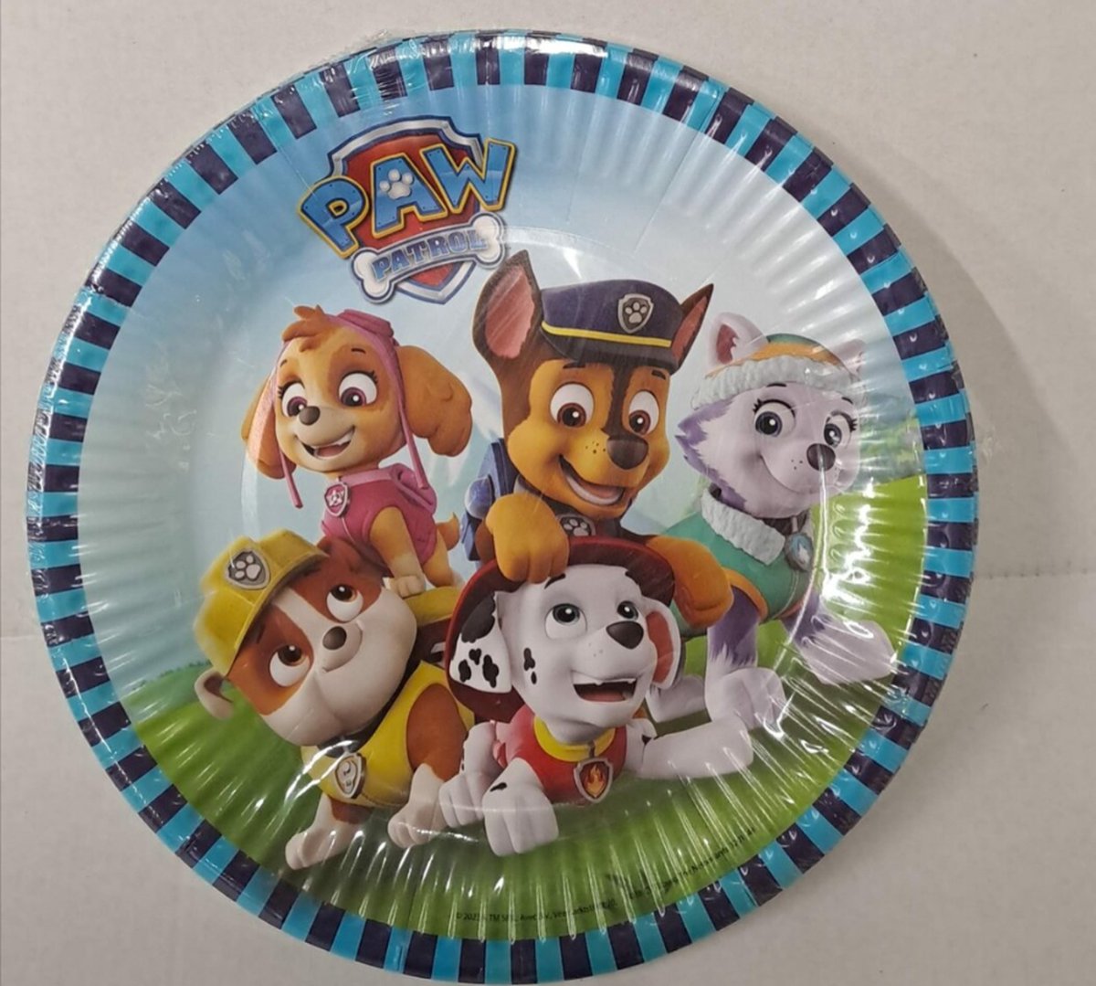 Paw Patrol Papieren Bordjes met Streepjes 10 stuks