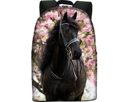 school rugtas paard - Fries