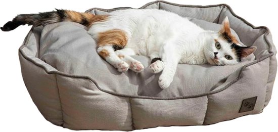 Un chat calico se repose dans un lit rond pour chien gris clair avec bords relevés et passepoil marron.