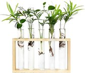 Stekstation met 5+1 reageerbuisjes - hout - met borsteltje en ophangsysteem | stek station - vaasjes - glaasjes - set - hydroponie - hydrocultuur - stekjes - droogbloemen