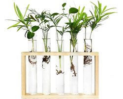 Stekstation met 5+1 reageerbuisjes - hout - met borsteltje en ophangsysteem | stek station - vaasjes - glaasjes - set - hydroponie - hydrocultuur - stekjes - droogbloemen