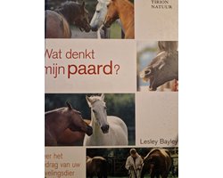 Wat Denkt Mijn Paard ?