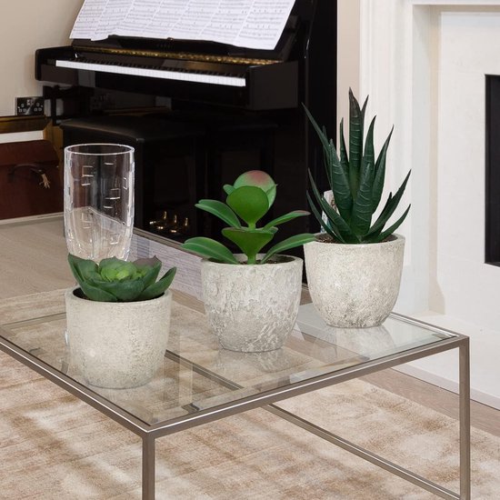 Mrs. Jones Set van 5 kunstplanten binnen schattige nepplanten decoratieve potten vetplanten plastic planten bureaudecoratie .