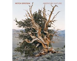 Mitch Epstein