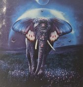 1046671_6