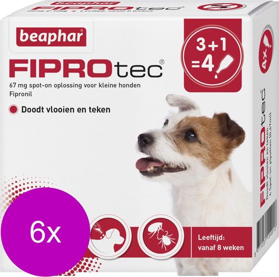 Beaphar Fiprotec Dog 3+1 pip - Anti vlooien en tekenmiddel - 6 x 2-10kg