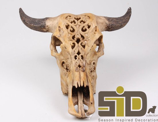 Just Impress -Buffel schedel met hoorns – Bull - Skull – muurdecoratie –  50cm -... | bol