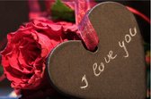 I Love You - Valentijn Puzzel - 252 Stukjes