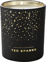 Ted Sparks - Geurkaars Demi - Cinnamon & Spice