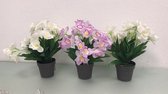 Mooie kunstplantjes - Orgidee - 3 stuks - wit/paars