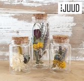 Droogbloemen Boeketjes In Glas met Kurk - Decoratieve Voorraadpotjes - 3 stuks