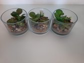 3 kunstplantjes in pot