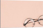 Dibond - Zwarte Bril op Roze Achtergrond - 90x60cm Foto op Aluminium (Met Ophangsysteem)