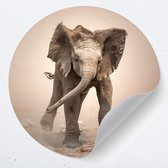 Muurcirkel olifant baby | Zelfklevende behangcirkel | woonkamer muur decoratie accessoires | rond kunstwerk