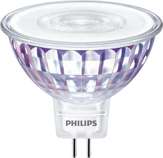 Philips Spot (dimbaar)