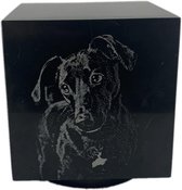 Dieren urn CUBOS Nero Marquina