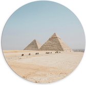 Dibond Wandcirkel - Piramides met Kamelen in Egypte - 100x100cm Foto op Aluminium Wandcirkel (met ophangsysteem)