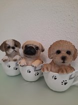 3 koppen met hondjes erin
