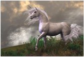 Poster – Witte Unicorn op Berg - 90x60cm Foto op Posterpapier