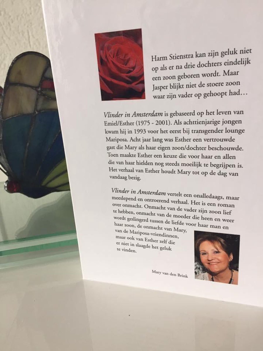 Vlinder in Amsterdam - back cover