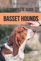 De complete gids voor Basset Hounds: close-up van een Basset Hound met een hand boven zijn hoofd.
