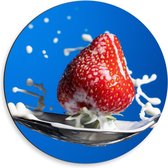 Dibond Wandcirkel - Aardbei op een Lepel - 50x50cm Foto op Aluminium Wandcirkel (met ophangsysteem)