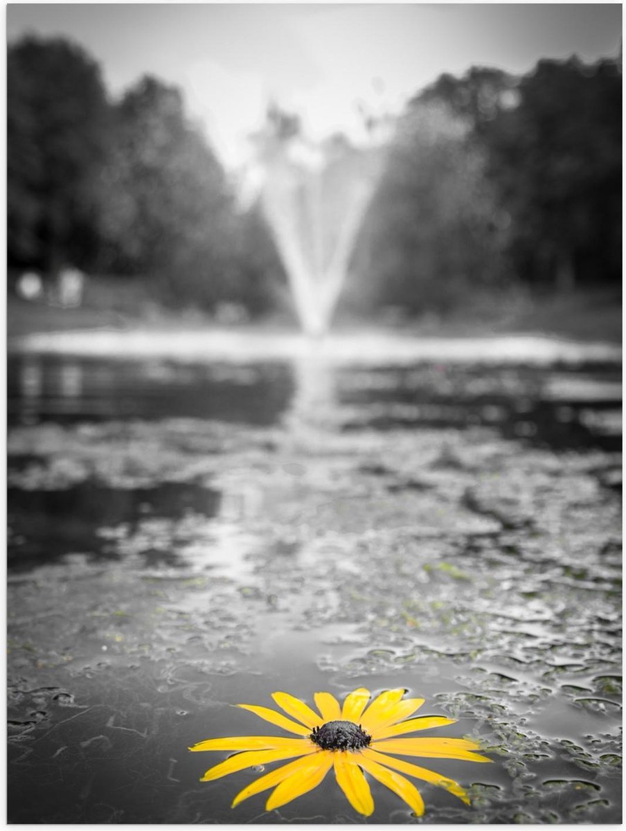 Poster – Gele Bloem in het Water bij Fontein - 30x40cm Foto op Posterpapier