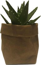 de Zaktus - Aloe Mitriformis - vetplant - UASHMAMA® paperbag olijf - Maat M