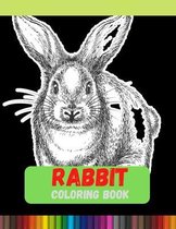 Rabbit Coloring Book