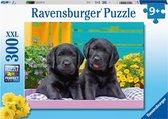 Ravensburger puzzel Zwarte Labradors - Legpuzzel - 300XXL stukjes