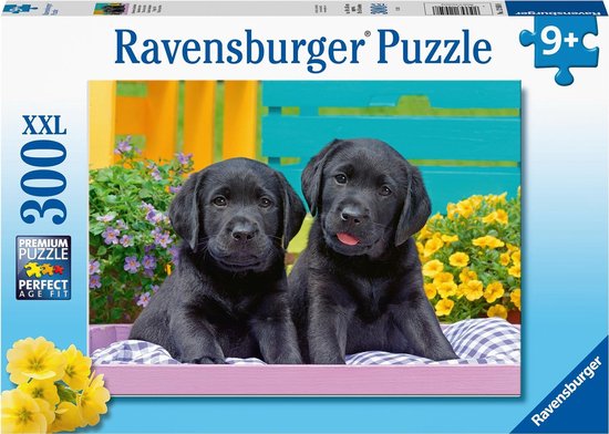 Ravensburger 12950 puzzle 300 pièce(s)