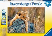 Ravensburger puzzel Kleine Leeuw - Legpuzzel - 200XXL stukjes