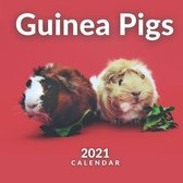 Guinea Pigs Calendar 2021