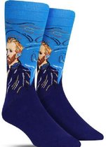 Vincent van Gogh Sokken, Kunst sokken, hippe sokken, grappige sokken|37-42