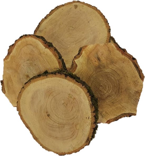 Creatief met hout, Boomschijf *ONBEWERKT met bast c.a 12 cm doorsnede|10  stuks €19,95... | bol.com