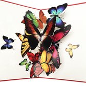 pop-up vlinder wolk kaart-wenskaart -liefde-dieren-3d