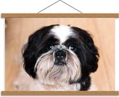 Schoolplaat – Boomer Hondje Zwart met Wit - 60x40cm Foto op Textielposter (Wanddecoratie op Schoolplaat)