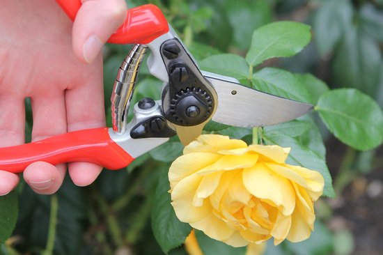 Darlac - snoeischaar normaal - Max knipdiameter 25 mm - Lengte 210 mm van Darlac — afbeelding 2