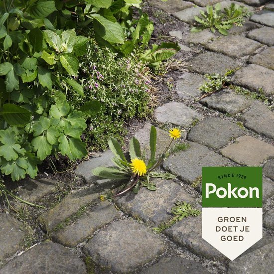 Pokon tegen Onkruid - Spray - 1l - Onkruidbestrijding - Natuurlijk van Merkloos	 — afbeelding 5