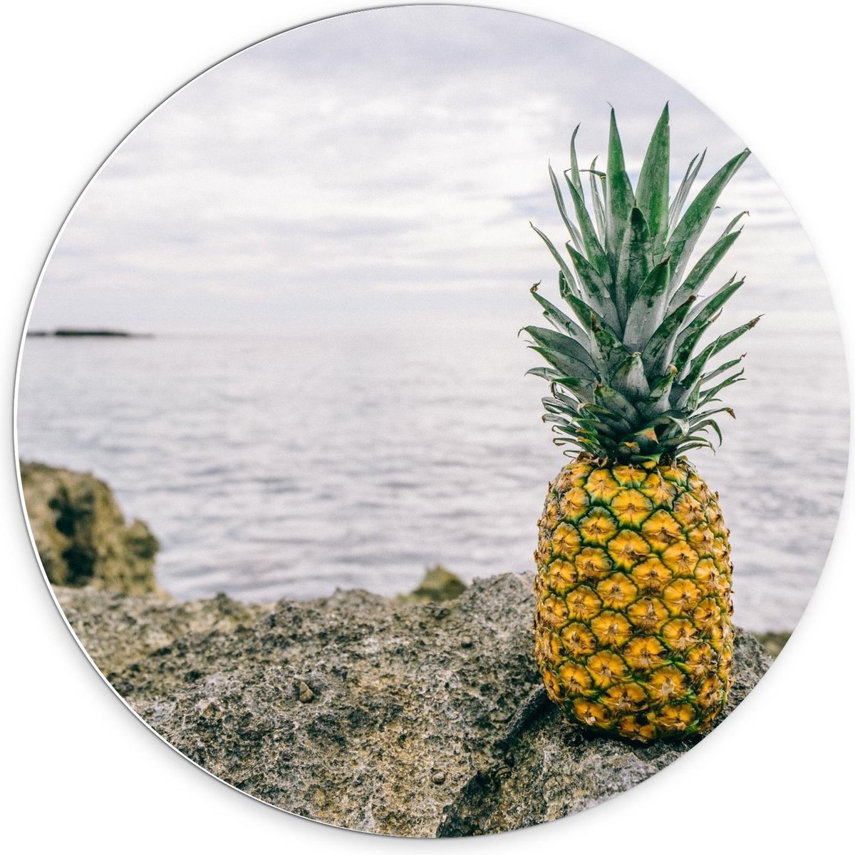 KuijsFotoprint - Schilderij - Ananas Een Rots Bij De Zee - Groen, Blauw, Bruin En Geel - 70 X 70 Cm