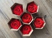 Fleurs de ville - Longlife rozen los - 6 stuks - Light Red
