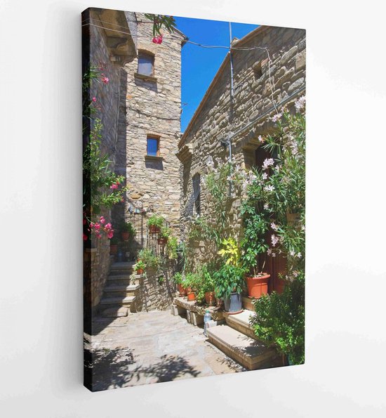 Onlinecanvas - Schilderij - Alleyway. Guardia Perticara. Basilicata. Italy. Art Vertical Vertical - Multicolor - 115 X 75 Cm
