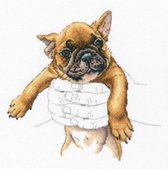 borduurpakket franse bulldog in de hand